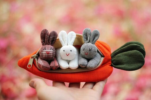 🎁Easter Special - 49% OFF🐇🎁 Hide-and-Seek Bunnies in Carrot Pouch