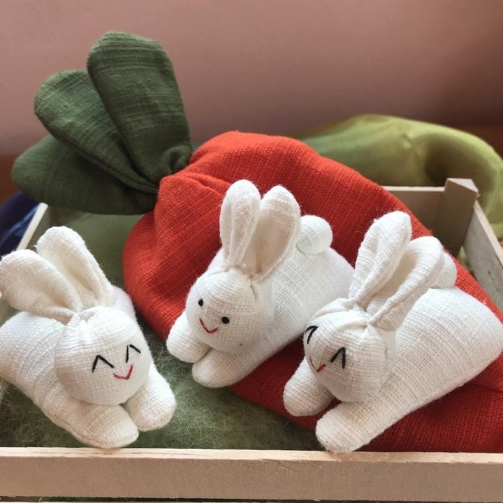 🎁Easter Special - 49% OFF🐇🎁 Hide-and-Seek Bunnies in Carrot Pouch