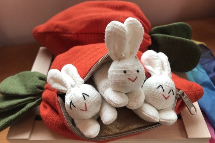🎁Easter Special - 49% OFF🐇🎁 Hide-and-Seek Bunnies in Carrot Pouch
