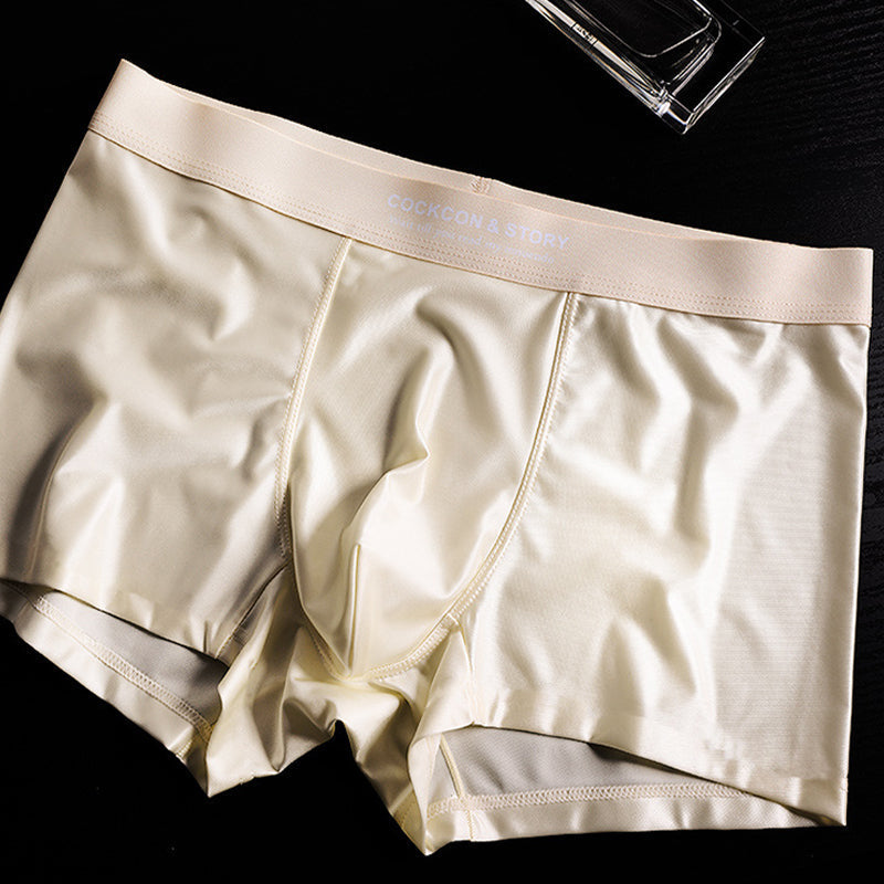 🔥BUY 1 GET 2 Free🔥Men's Satin Ice Silk Briefs
