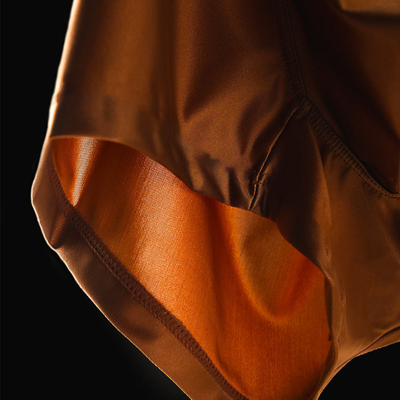 🔥BUY 1 GET 2 Free🔥Men's Satin Ice Silk Briefs