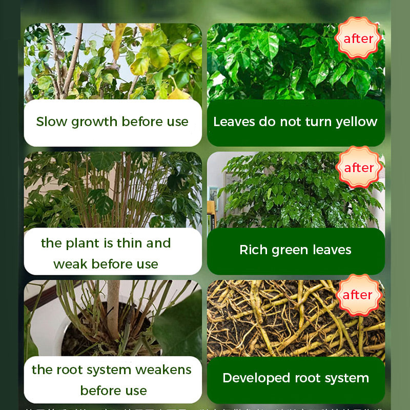 š„Rapid Rooting And Flowering Powder