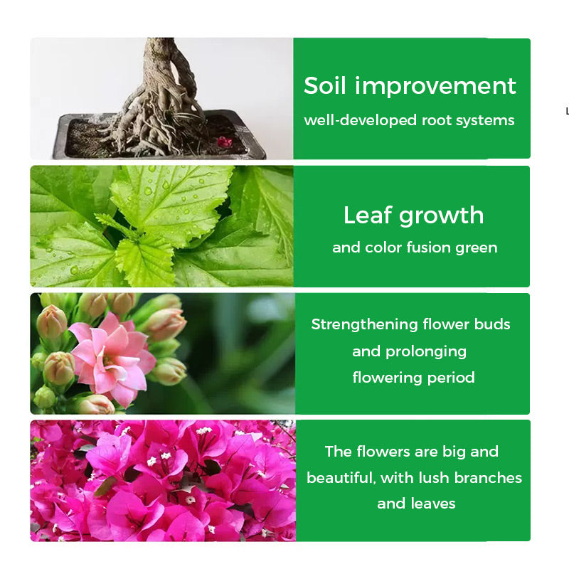 š„Rapid Rooting And Flowering Powder