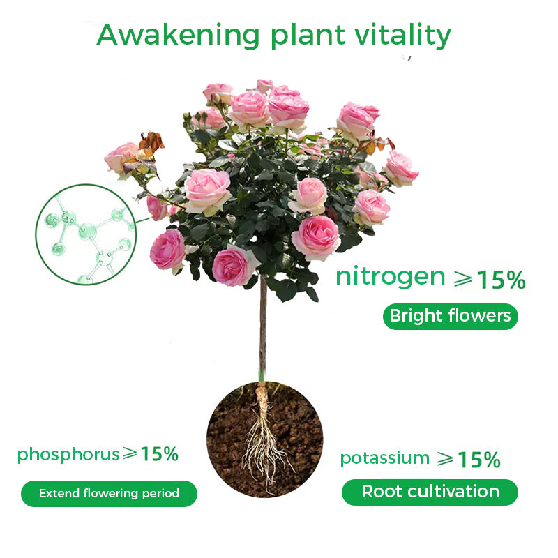 š„Rapid Rooting And Flowering Powder