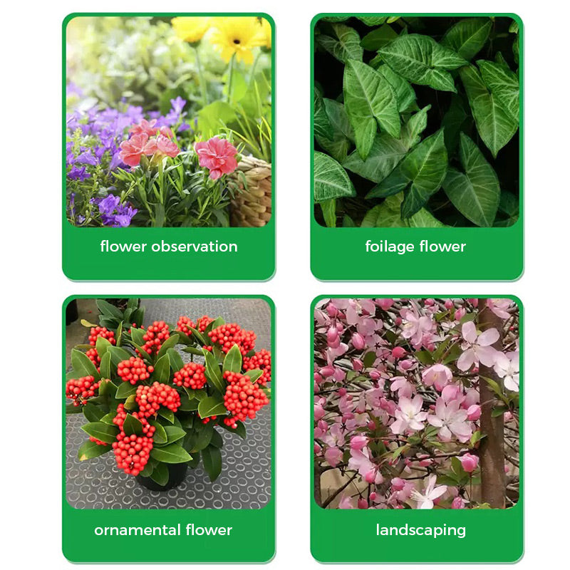 š„Rapid Rooting And Flowering Powder