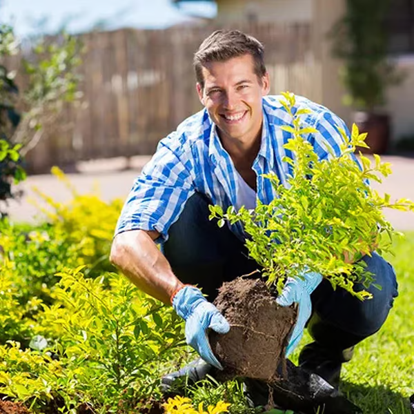 🔥BUY 2 GET 1 FREE🔥Soil Improvement Loosening Agent