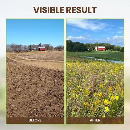 🔥BUY 2 GET 1 FREE🔥Soil Improvement Loosening Agent