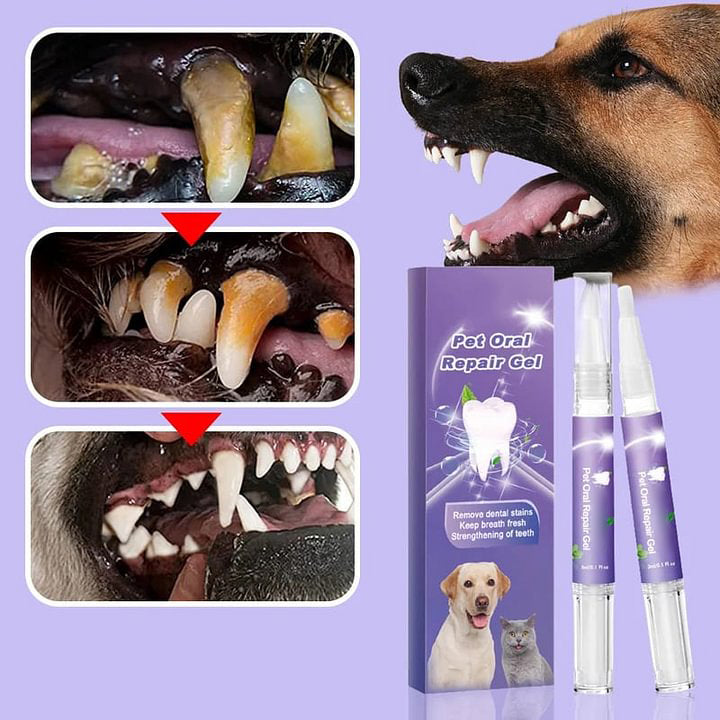 🐕🐾Pet Oral Repair Gel🐶✨