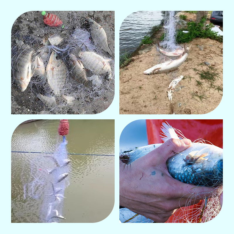 🔥2025 Hot Sale🔥Fishing Gill Net with Spring Bait Trap