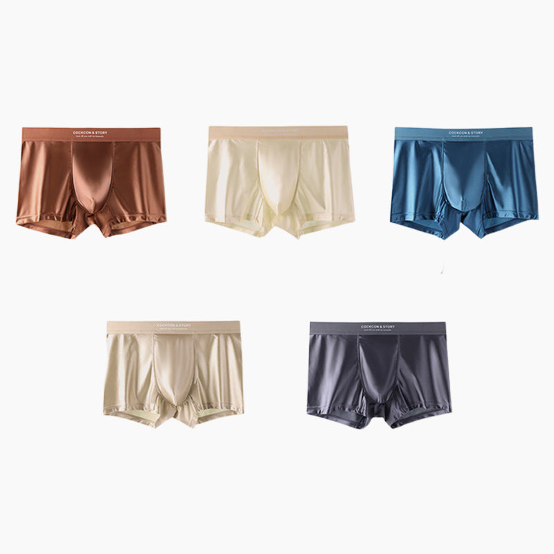🔥BUY 1 GET 2 Free🔥Men's Satin Ice Silk Briefs