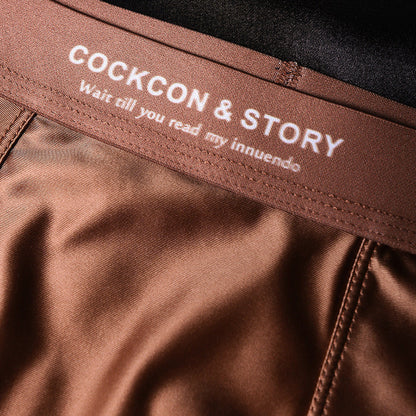 🔥BUY 1 GET 2 Free🔥Men's Satin Ice Silk Briefs