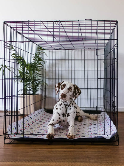 🐶😸Premium Reusable Super Absorbent PuppyPad🐾 (Kitten & Other Pets)